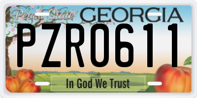 GA license plate PZR0611