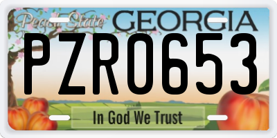 GA license plate PZR0653