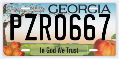 GA license plate PZR0667