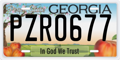 GA license plate PZR0677