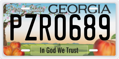 GA license plate PZR0689