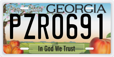GA license plate PZR0691
