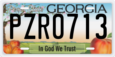 GA license plate PZR0713