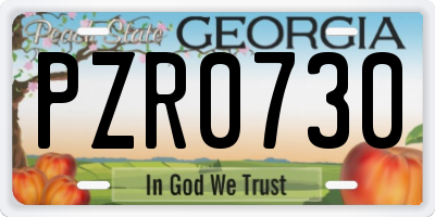 GA license plate PZR0730
