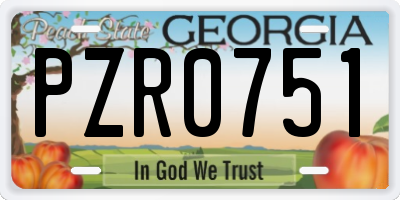 GA license plate PZR0751