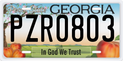 GA license plate PZR0803