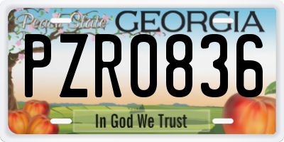 GA license plate PZR0836