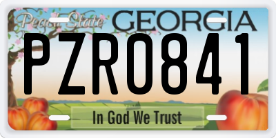 GA license plate PZR0841