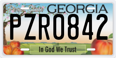 GA license plate PZR0842