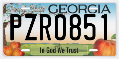 GA license plate PZR0851