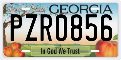 GA license plate PZR0856