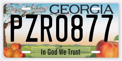 GA license plate PZR0877