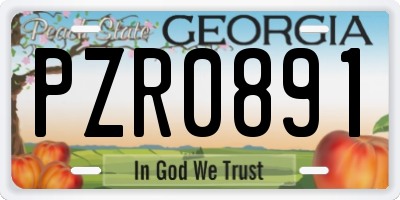 GA license plate PZR0891