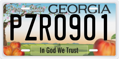 GA license plate PZR0901