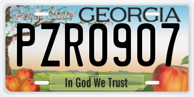 GA license plate PZR0907