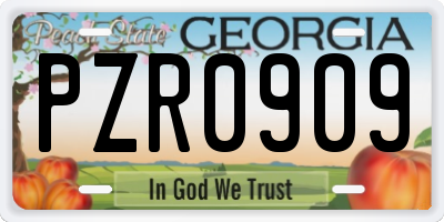 GA license plate PZR0909