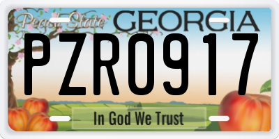 GA license plate PZR0917