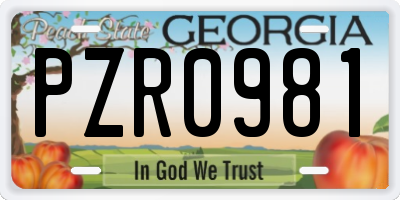 GA license plate PZR0981