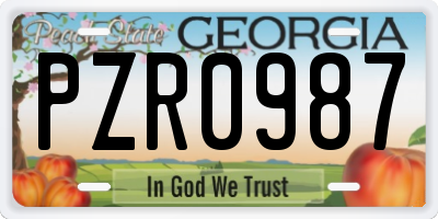 GA license plate PZR0987
