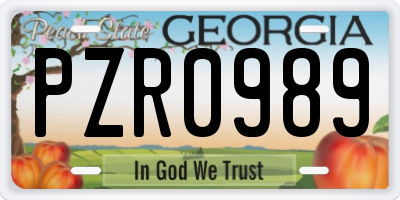 GA license plate PZR0989