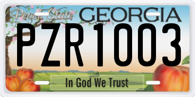GA license plate PZR1003