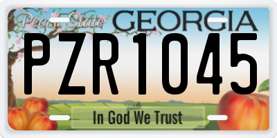 GA license plate PZR1045