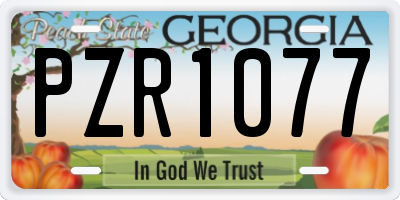 GA license plate PZR1077