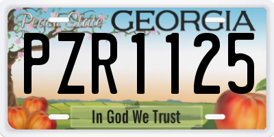 GA license plate PZR1125