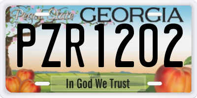 GA license plate PZR1202