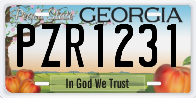 GA license plate PZR1231