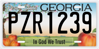 GA license plate PZR1239
