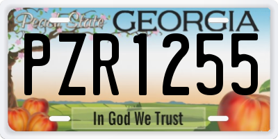 GA license plate PZR1255