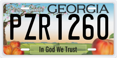GA license plate PZR1260