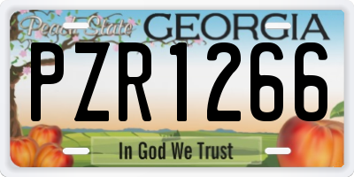 GA license plate PZR1266