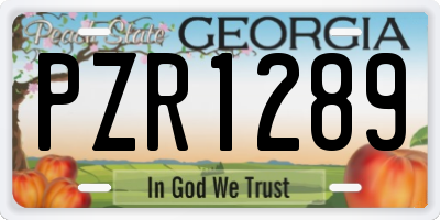 GA license plate PZR1289