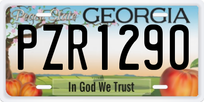 GA license plate PZR1290