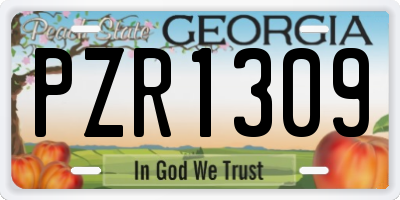 GA license plate PZR1309
