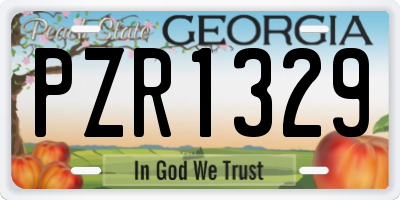 GA license plate PZR1329