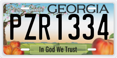 GA license plate PZR1334