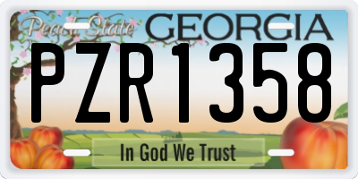 GA license plate PZR1358