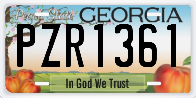 GA license plate PZR1361