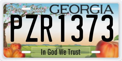 GA license plate PZR1373
