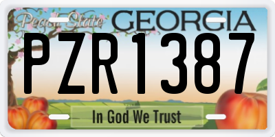 GA license plate PZR1387