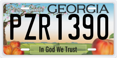 GA license plate PZR1390