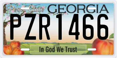 GA license plate PZR1466