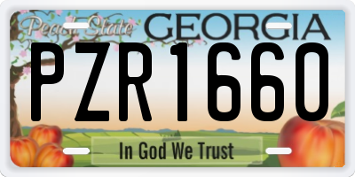 GA license plate PZR1660