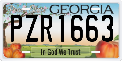 GA license plate PZR1663
