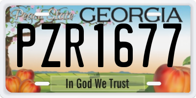 GA license plate PZR1677