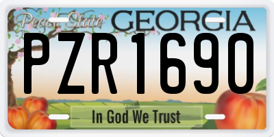 GA license plate PZR1690