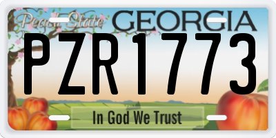GA license plate PZR1773